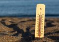 Ola de calor