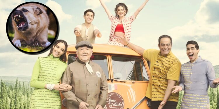 ¡Terrible! Así quedó la cara de un querido actor de 'Como dice el dicho' tras ser mordido por un perro: VIDEO