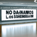 “No dañaremos a los docentes”: Sheinbaum
