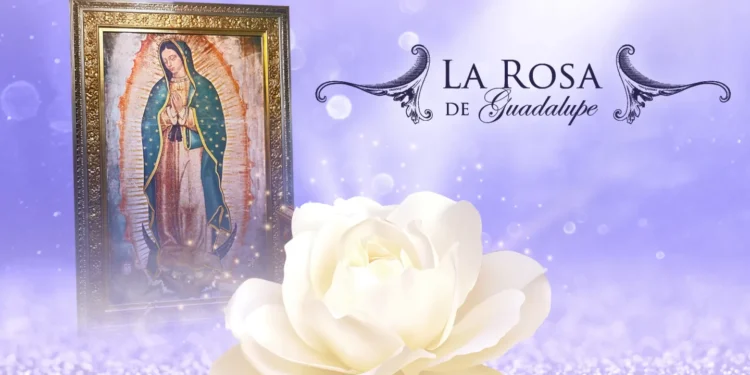 los mejores episodios de la serie según la inteligencia artificial