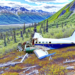 ¿Qué se conoce sobre el avión caído en Alaska?