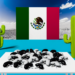 En México, abundan las esperas por riñones.