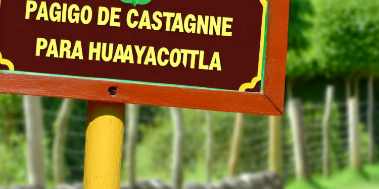 Columna Digital