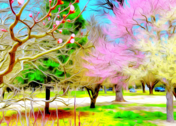 ¿Qué simboliza la llegada de primavera?