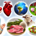 ¿Razones para conmemorar el Día Sin Carne?