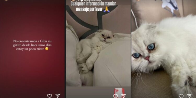 Belinda y su gatito Glen.jpg