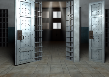 Don Neto, líder del Cártel, es liberado.