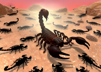 ¿Cuándo aparece la plaga de alacranes?