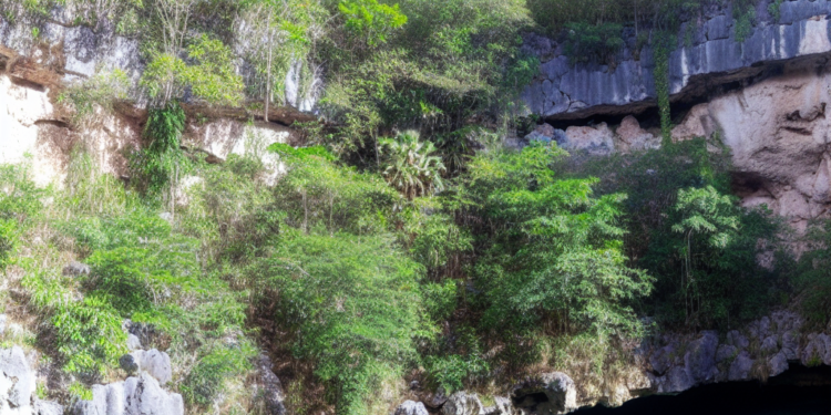 ¿Dónde hallo el cenote corazón en México?