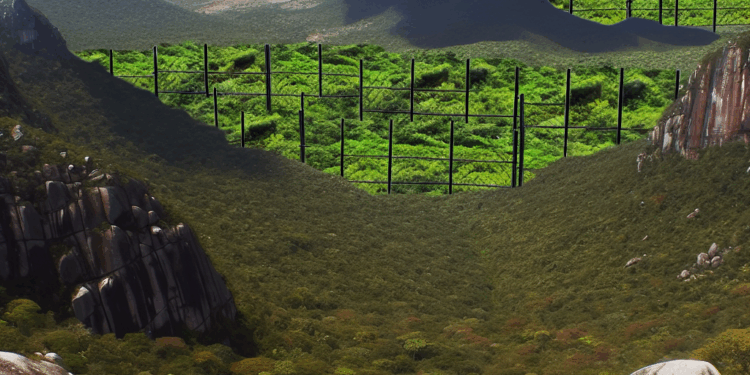¿Por qué están bloqueadas las zonas ecológicas en Tepoztlán?