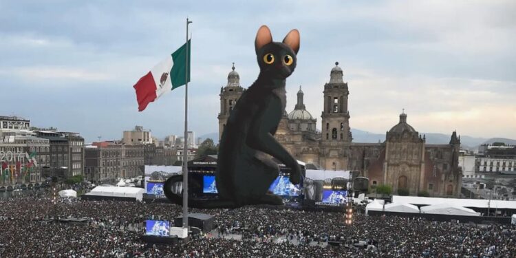 mira las mejores fotos y videos