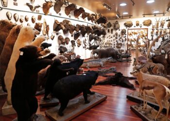 La columna de Montero: El ‘ranking’ de la infamia | EL PAÍS Semanal