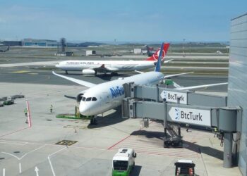 Air Europa ultima su visto bueno a los 300 millones de Turkish por el 26% del capital | Empresas