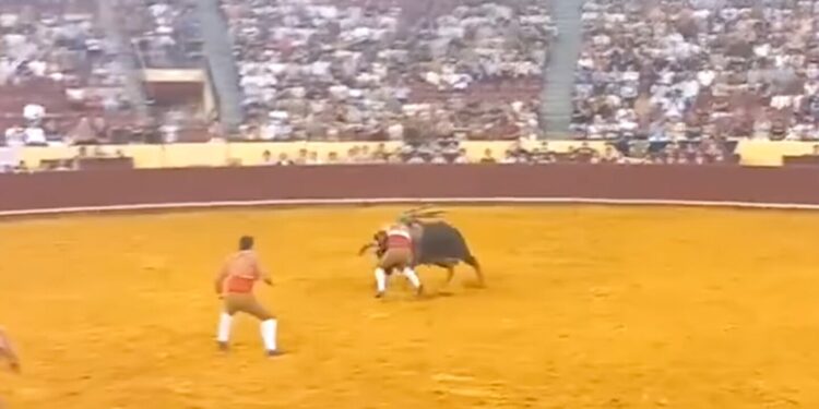 Fue corneado por toro de 700 kilos