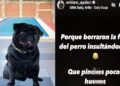 emiliano-aguilar-perro-.jpg