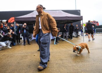 Lewis Hamilton se despide de ‘Roscoe’, su perro con 1,4 millones de fans en Instagram | Gente