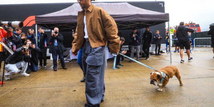 Lewis Hamilton se despide de ‘Roscoe’, su perro con 1,4 millones de fans en Instagram | Gente