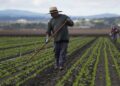 Los economistas del Congreso avisan que Estados Unidos necesita inmigrantes para crecer | Negocios en Estados Unidos