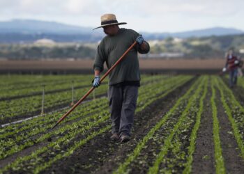 Los economistas del Congreso avisan que Estados Unidos necesita inmigrantes para crecer | Negocios en Estados Unidos