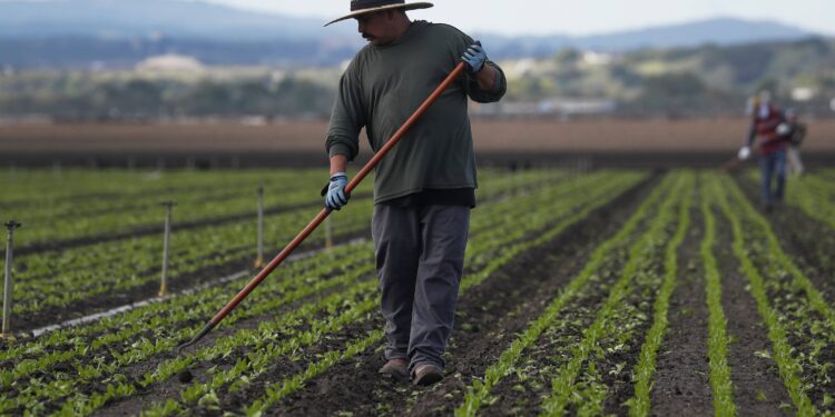 Los economistas del Congreso avisan que Estados Unidos necesita inmigrantes para crecer | Negocios en Estados Unidos