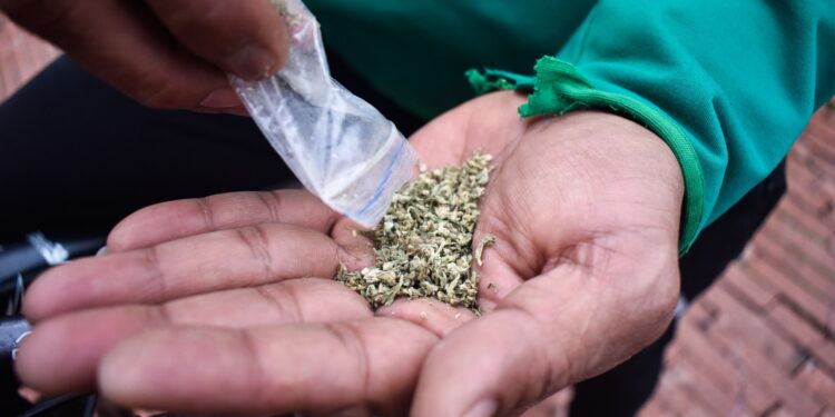 Colombia autoriza la venta de cannabis medicinal en farmacias