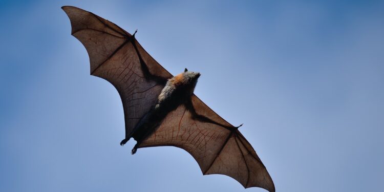 El juego del lenguaje | Ciencia