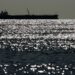 Estados Unidos intercepta un segundo buque petrolero frente a las costas de Venezuela