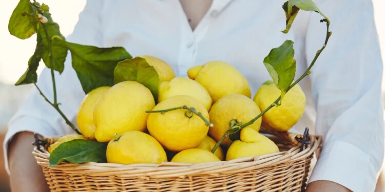 ¿Por qué los Postrecitos Marías Gamesa reconfortan tanto?