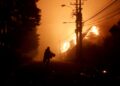 Al menos 16 muertos por una veintena de incendios forestales en el centro-sur de Chile