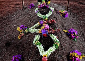 Quitar a la familia de la herencia: crecen los testamentos solidarios | EL PAÍS Semanal