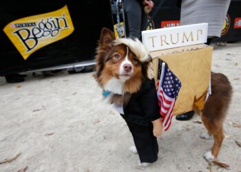 Trump quiere que veas perritos parlanchines generados por IA | Ideas