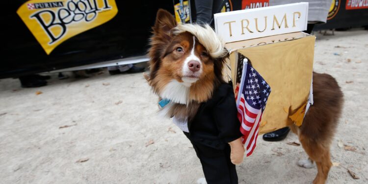 Trump quiere que veas perritos parlanchines generados por IA | Ideas