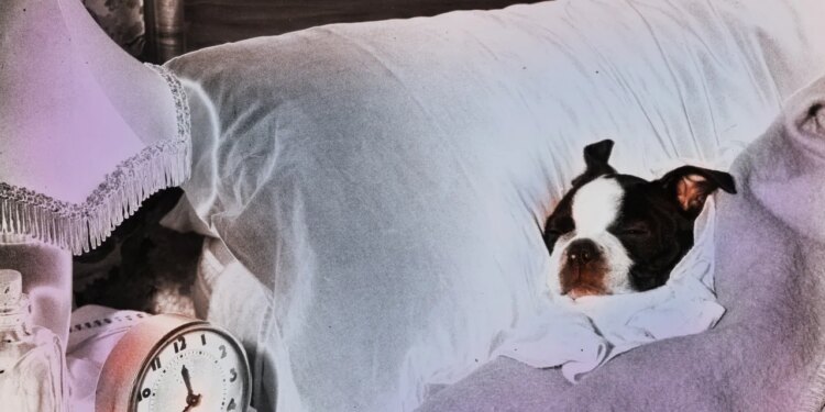 Consejos para dormir sin interrupciones.