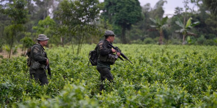La muerte de El Mencho deja a la deriva los negocios del Cartel Jalisco con el ELN, el Clan del Golfo y las disidencias