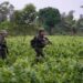La muerte de El Mencho deja a la deriva los negocios del Cartel Jalisco con el ELN, el Clan del Golfo y las disidencias