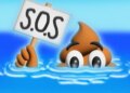 ¿Las heces deben flotar o hundirse?
