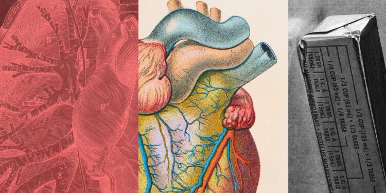¿Qué es el colesterol LDL y cómo disminuirlo?