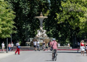 Caminante no hay camino