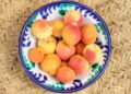 Todo lo que hay que saber del albaricoque, una fruta que es puro verano