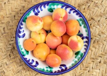 Todo lo que hay que saber del albaricoque, una fruta que es puro verano