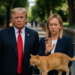 Trump se reconcilia con Meloni: ¡No, gracias!