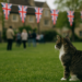Extinción de celebración en Inglaterra.