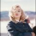 Ni rubia ni tonta, Marilyn Monroe contra los lobos de Hollywood