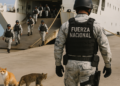 ¿Desembarca la Fuerza Nacional? - Columna Digital